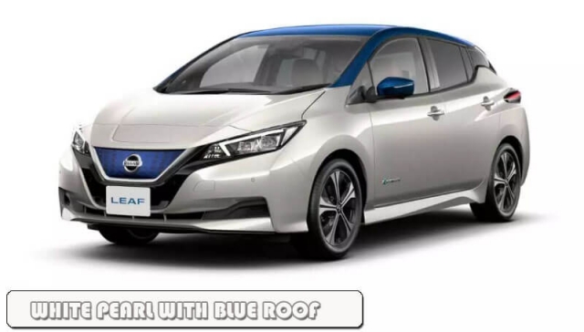 White-Pearl-With-Blue-Roof